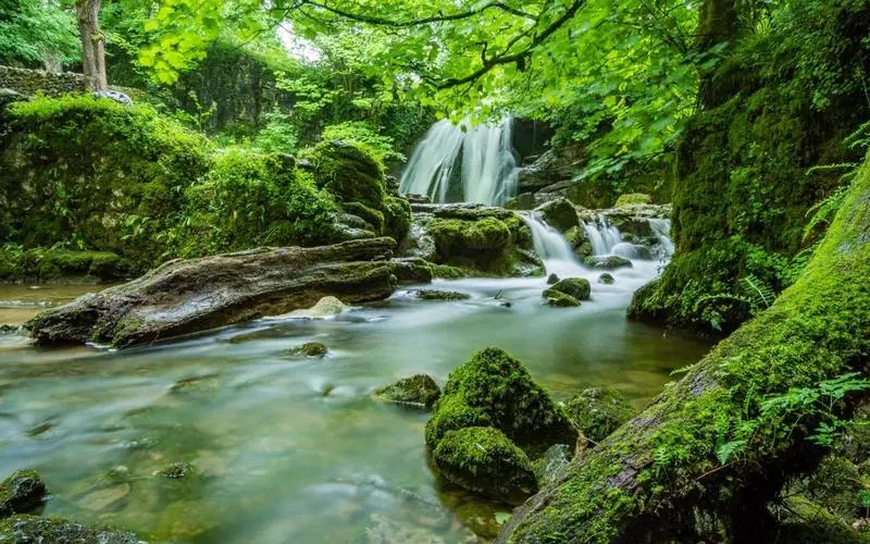 可靠性先进精密